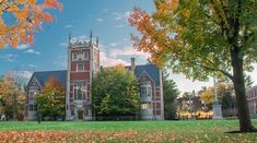 a large building surrounded by trees with leaves on the ground