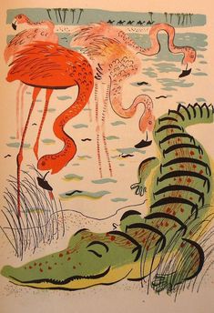 an image of flamingos and alligators in the water