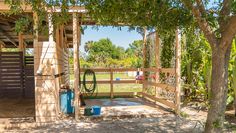 a horse stable with trees in the foreground and a blue barrel on the far side