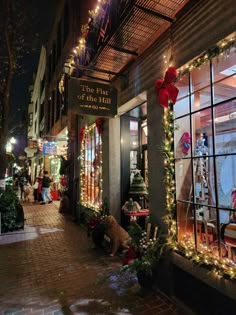 a store front decorated with christmas lights and decorations