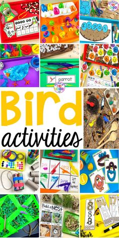 a collage of bird activities for kids