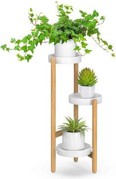 three tiered plant stand with two plants on top and one potted plant in the middle