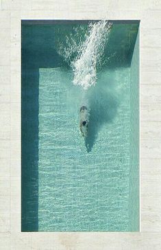 an overhead view of a person swimming in a pool