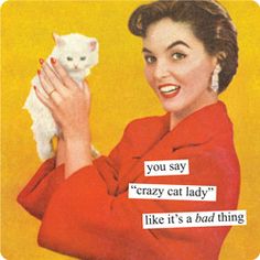 a woman holding a white cat in her right hand and the caption says, you say crazy cat lady like it's a bad thing