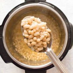 a spoon with some food in it on top of an instant pressure cooker pot