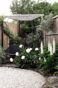 an outdoor garden with white flowers and plants in the foreground, next to a wooden fence