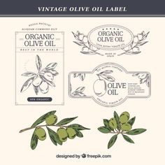 vintage olive oil labels and stickers on a white background with an olive branch in the middle