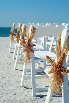 white chairs lined up on the beach with starfishs tied to them for decoration