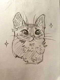 a pencil drawing of a cat's face with stars around its eyes and nose