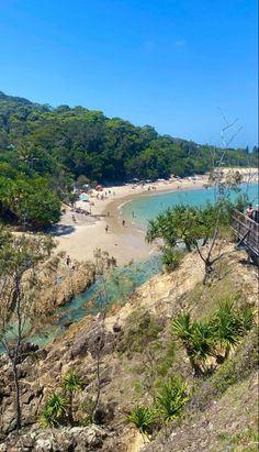 people are on the beach and in the water near some trees, bushes and rocks