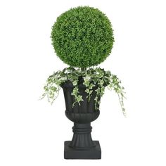 a potted plant with green leaves on it's head is shown in front of a white background