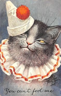 a card with a cat wearing a hat on top of it's head and the caption you can't fool me