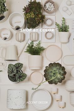 a table topped with lots of different types of plant pots and plants next to each other