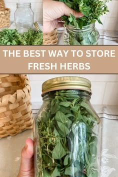 the best way to store fresh herbs