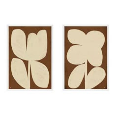 two framed art pieces with white flowers on brown background