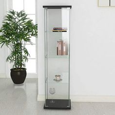 a tall glass display case next to a potted plant in a white living room