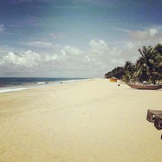 a bench sitting on top of a sandy beach next to the ocean and palm trees