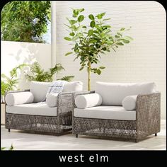 two couches sitting next to each other in front of a white brick wall and potted plant