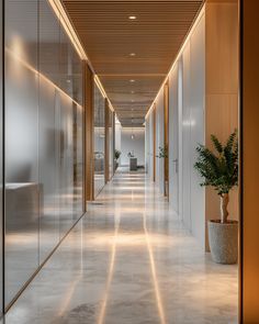 an empty hallway with glass walls and potted plant