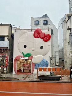 Photo Japon, Japan Moodboard, Sanrio Shop, Sanrio Store, Tokyo Japan Travel, Japan Vacation