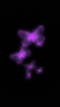 three purple butterflies flying in the dark