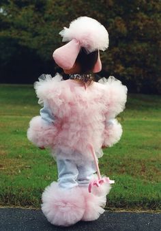 Puppy costume Poodle Costume, Pink Saturday, Cheap Thrills, Holloween Costume, Pink Poodle, Iron Gate, Cute Halloween Costumes, Cute Costumes