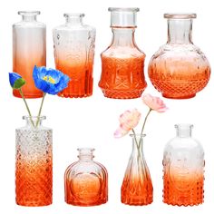 several different vases with flowers in them on a white background, including one blue flower