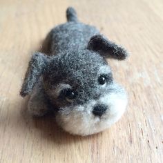 a small gray and white dog laying on top of a wooden floor with it's head turned to the side