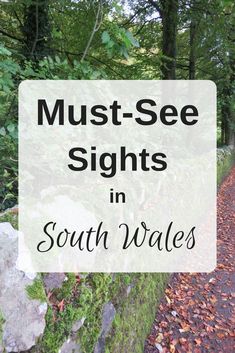 the words must see sights in south wales surrounded by trees and rocks with leaves on them