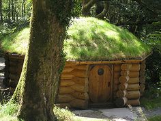 a small log cabin with grass roof in the woods