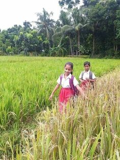 Indian Countryside, Village Kids, Happy Children, India Photography, Happy Children's Day, Kids Around The World, Baby Room Art, Asian Kids