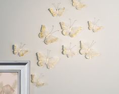 there are many butterflies on the wall next to a framed photo and an empty frame