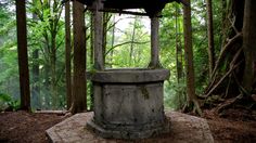 an old well in the middle of a forest