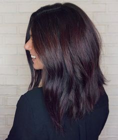 Plum Purple Brown Hair, Winter Dark Hair Color Brunettes, Dark Mohagany Brown Hair, Plum Brunette Hair, Dark Brown Hair With Purple Tint, Chocolate Burgundy Hair, Dark Brown Hair With Red Tint, Dark Burgundy Balayage, Blackberry Hair Color Dark