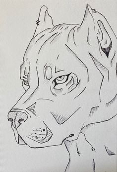 a drawing of a dog's face with one eye open and the other half closed