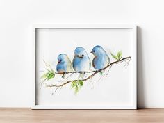 three blue birds sitting on a branch with green leaves