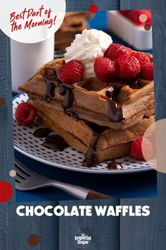 chocolate waffles with raspberries and whipped cream