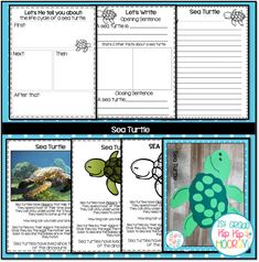 the sea turtle story and activities for kids to use in their writing workbooks