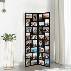 a room divider with multiple pictures on it in front of a white wall and a potted plant