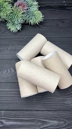 three rolls of toilet paper sitting on top of a wooden table next to a potted plant