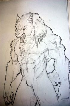 a drawing of a wolf with his mouth open and claws out in front of him