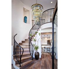 a spiral staircase with chandelier and potted plants