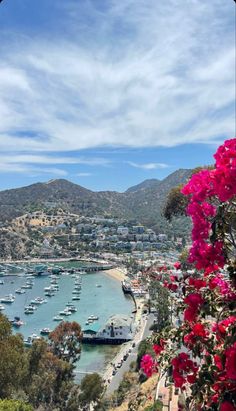 boats are docked in the water near some hills and trees with pink flowers on them