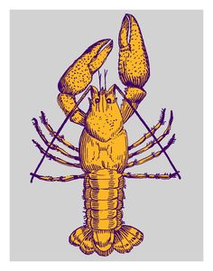 a drawing of a lobster with crossed legs and claws on it's back end