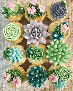 cupcakes decorated with flowers and succulents