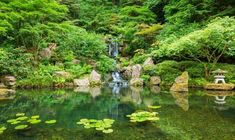 a pond surrounded by trees and rocks with lily pads in the water next to it