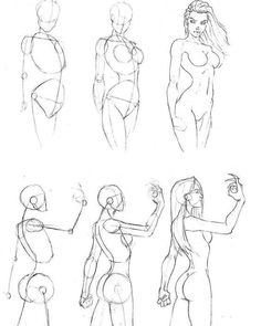 an image of female body drawing in various poses and positions, including the arms and legs