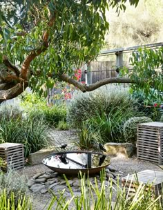 a garden with rocks, plants and water fall in the backround on a sunny day