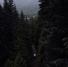 a truck driving down a road in the middle of some pine trees with mountains in the background