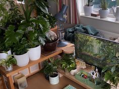 a desk with plants and other items on it